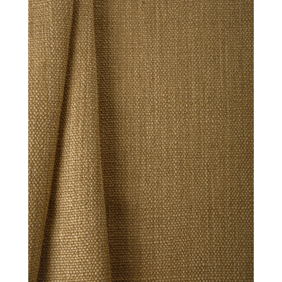 Prairie Texture - Straw