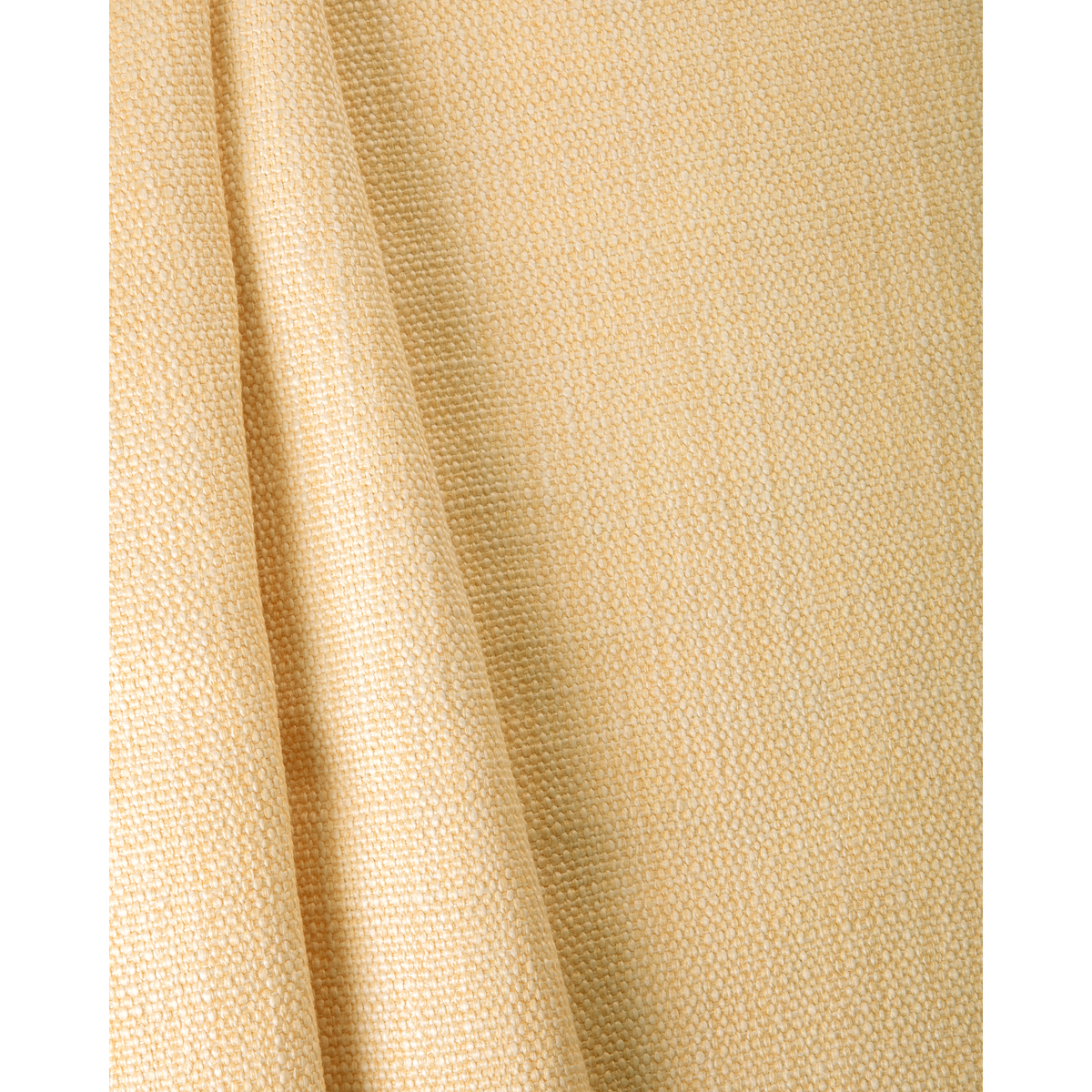 Prairie Texture - Ivory