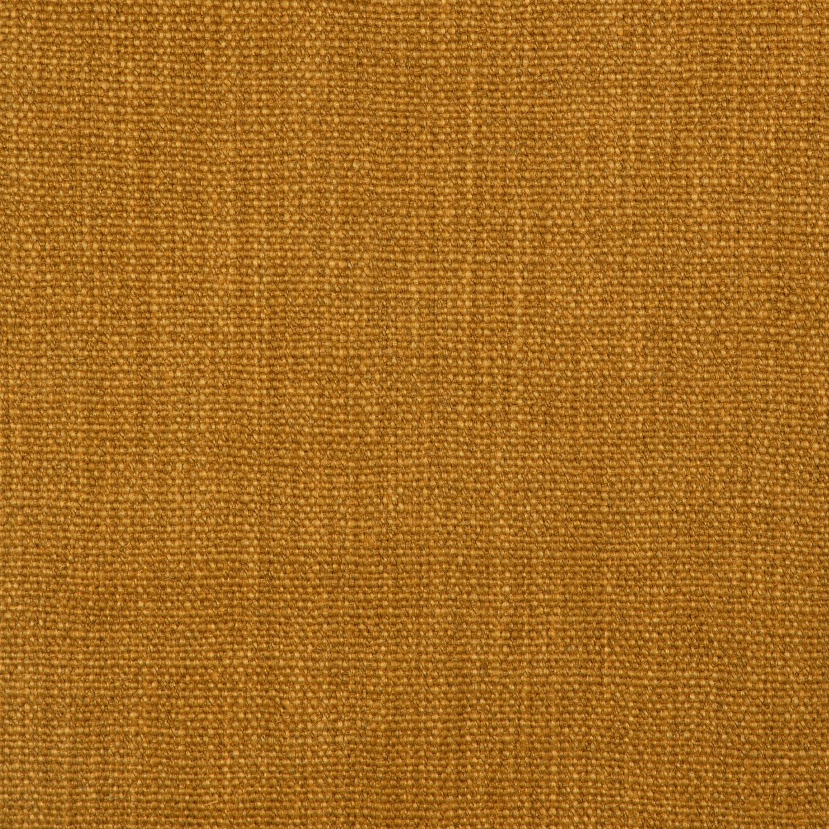 Prairie Texture - Amber