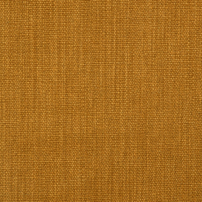 Prairie Texture - Amber