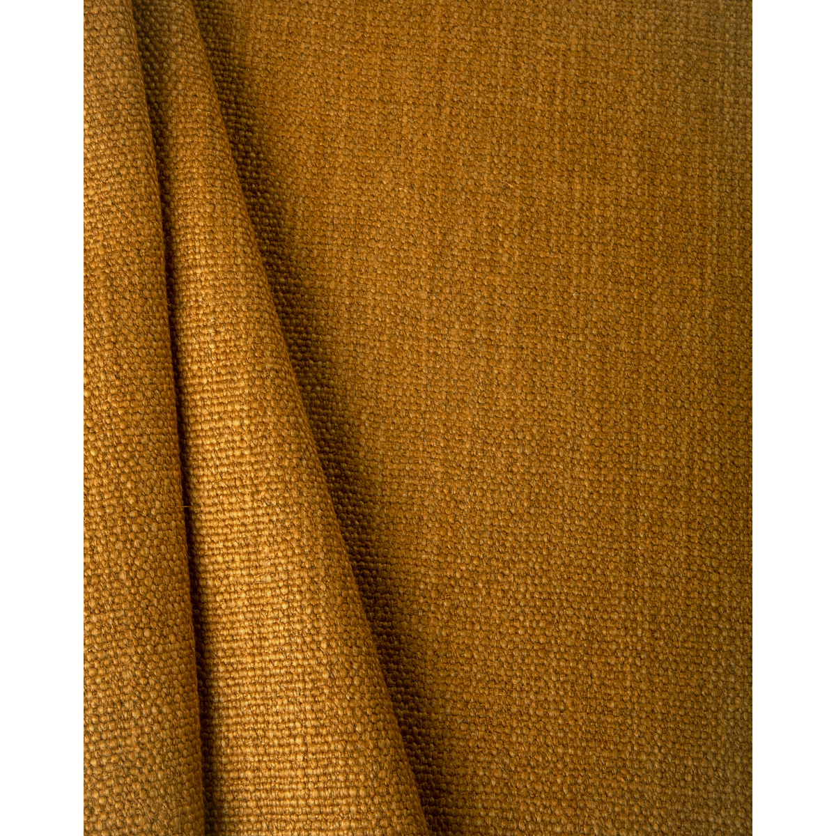 Prairie Texture - Amber