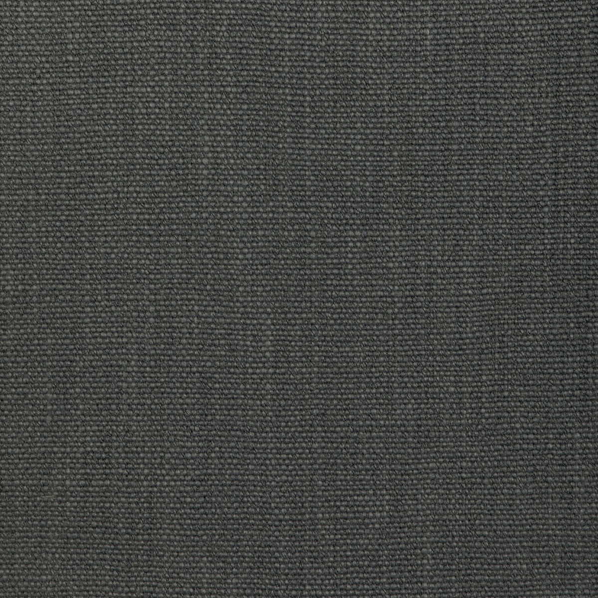 Prairie Texture - Slate