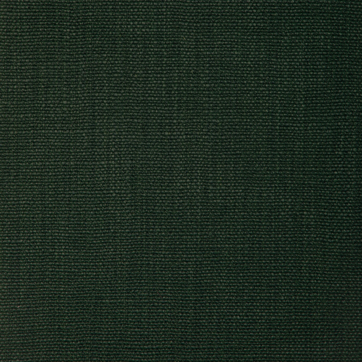 Prairie Texture - Emerald