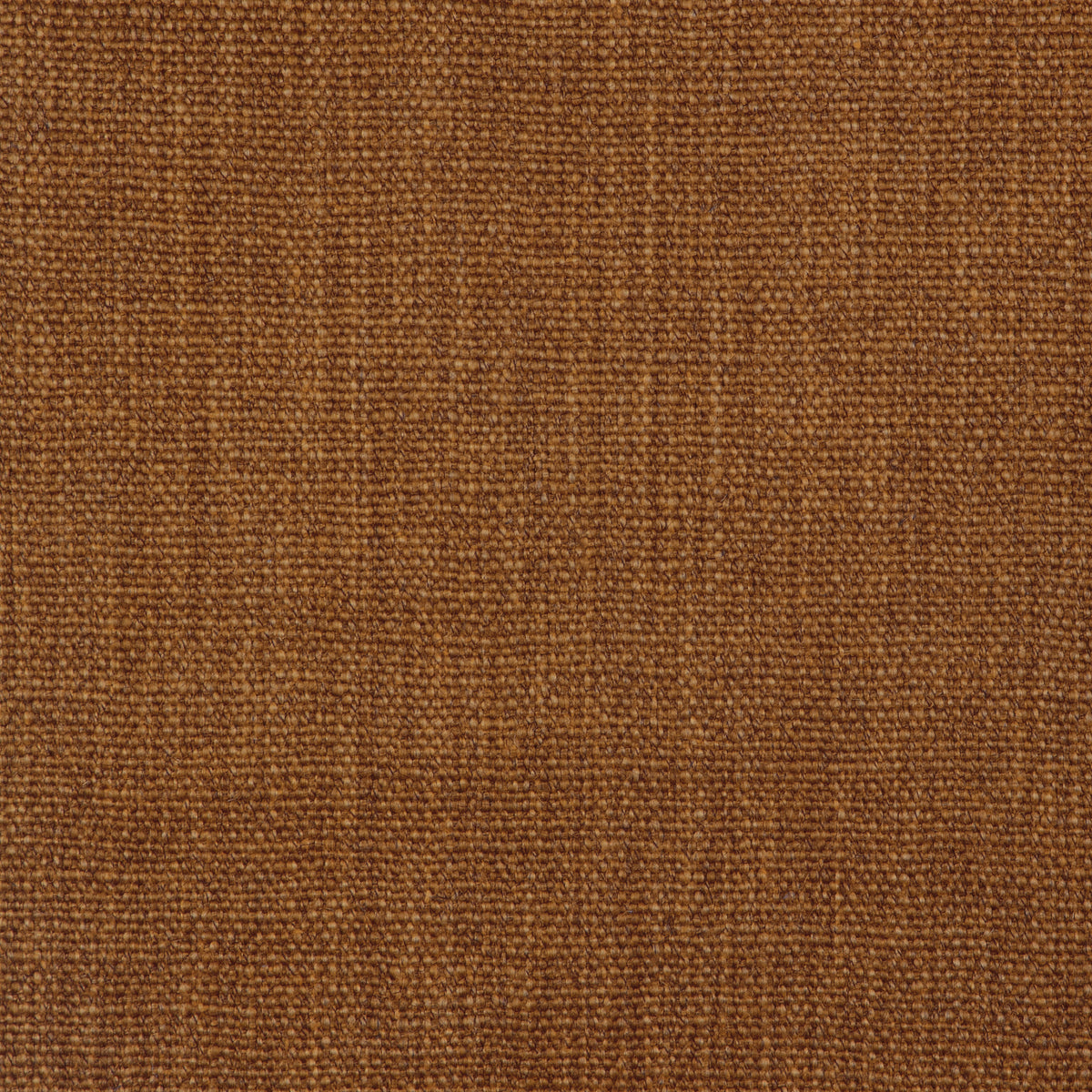 Prairie Texture - Bark