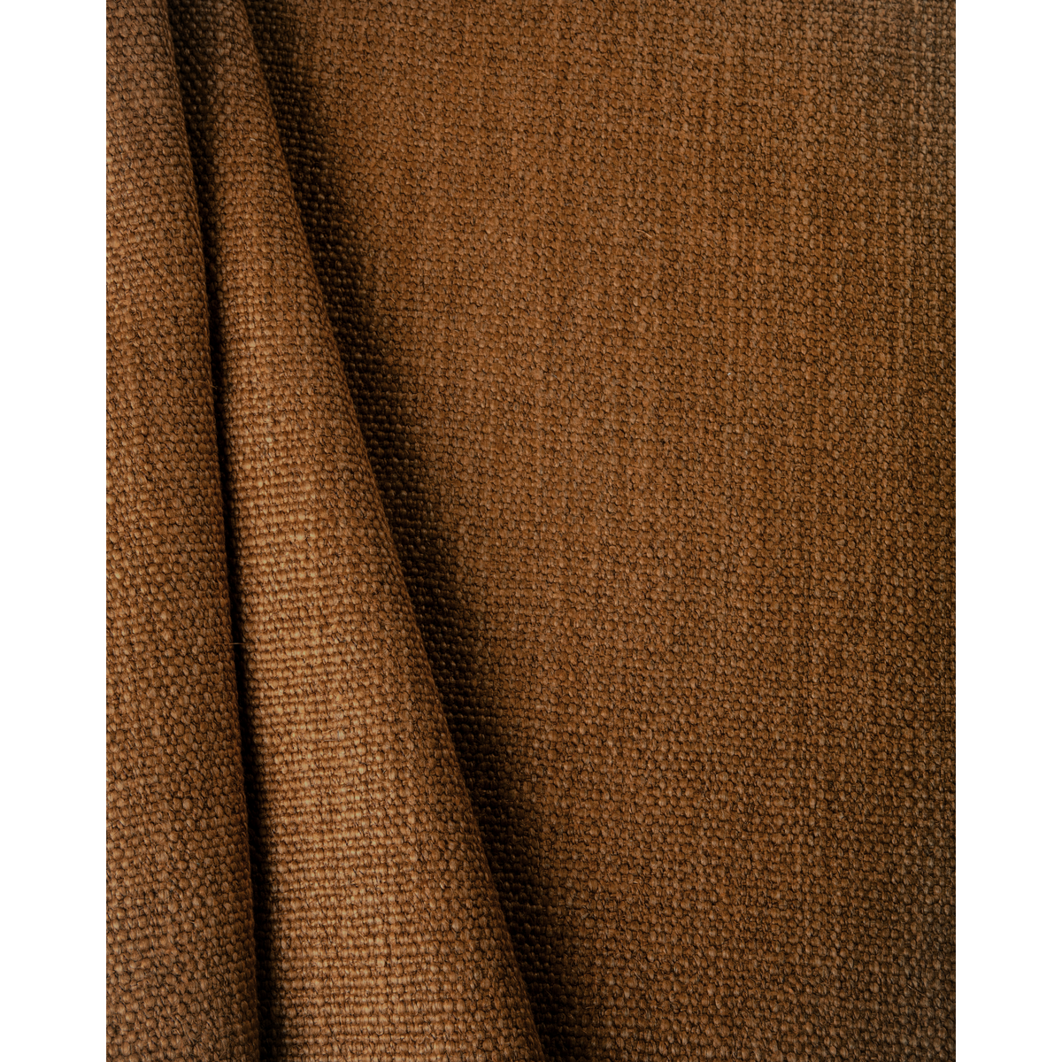 Prairie Texture - Bark