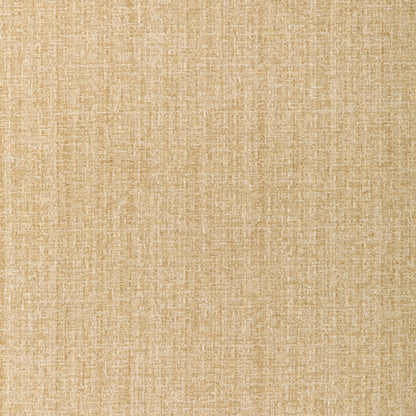 Plateau Texture - Alabaster