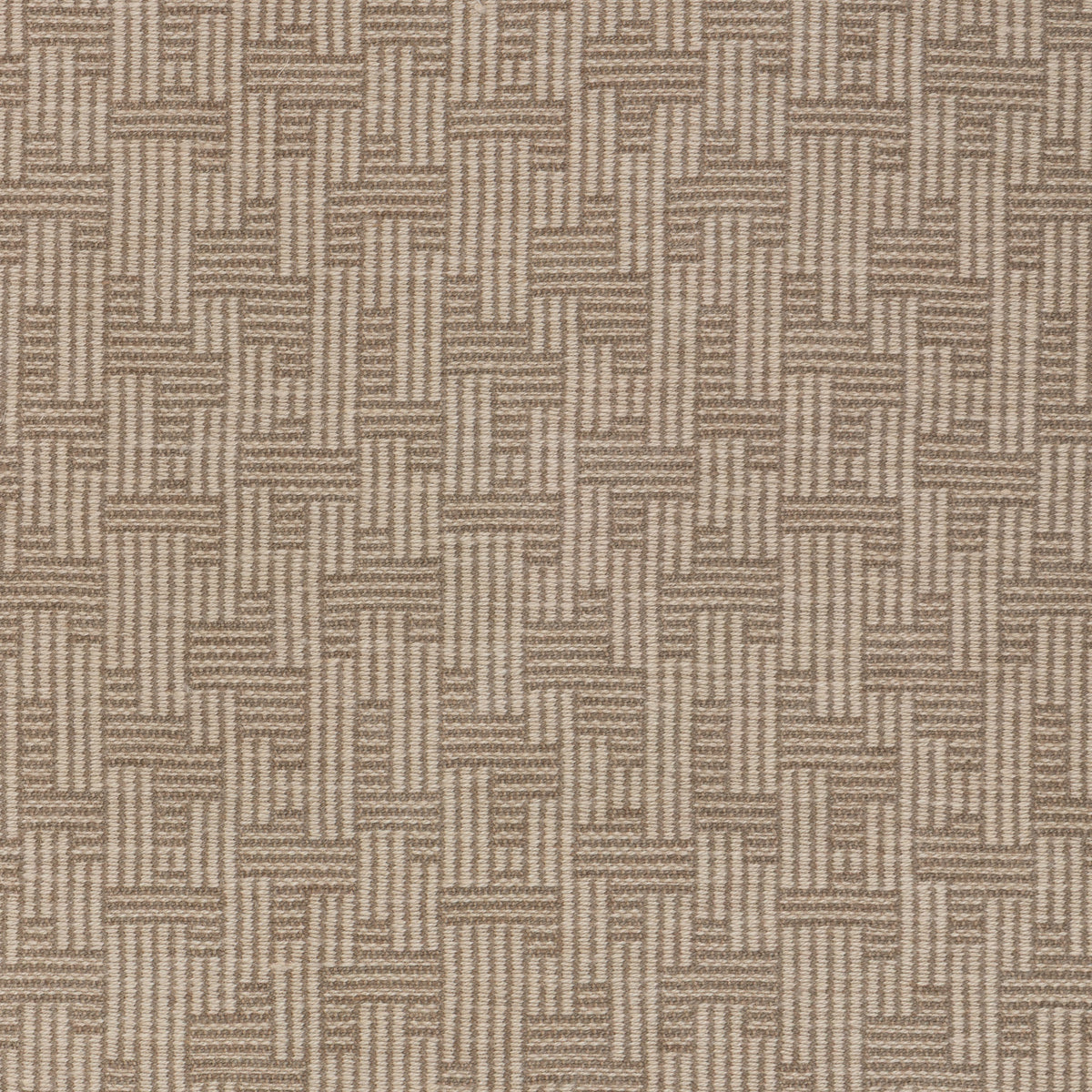 Orbis - Oat/Doe