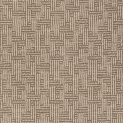 Orbis - Oat/Doe