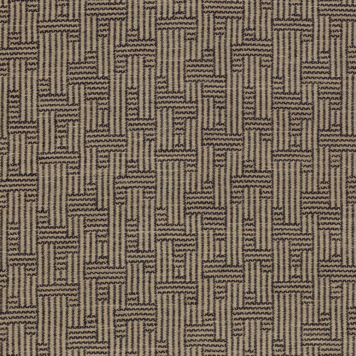 Orbis - Taupe/Vortex