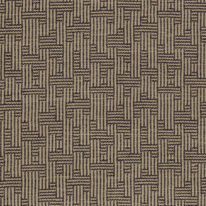 Orbis - Taupe/Vortex