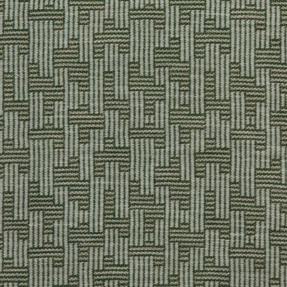 Orbis - Pistachio/Sprig