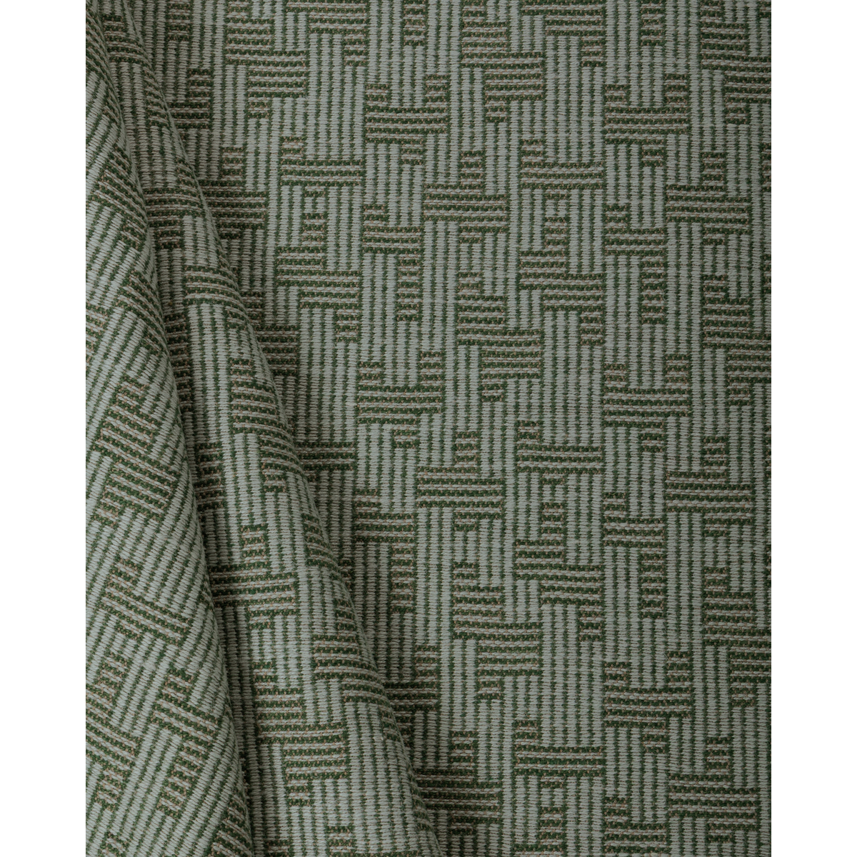 Orbis - Pistachio/Sprig