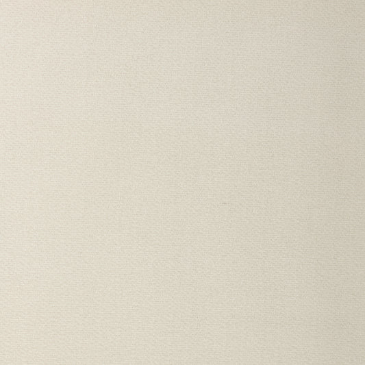 Estuary Fabric by Lee Jofa Modern in Cloud