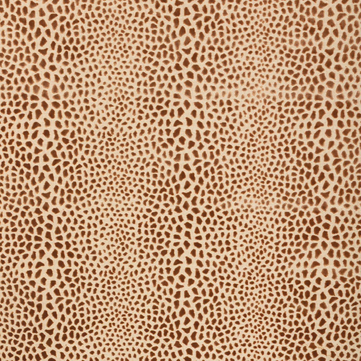 Cheetah Velvet - Terra