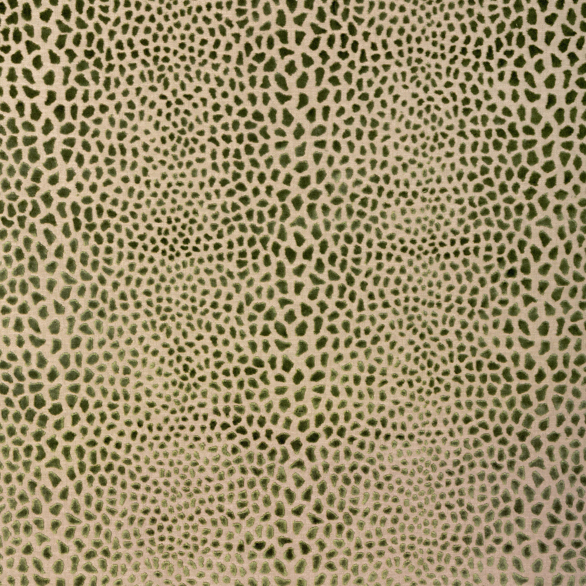 Cheetah Velvet - Moss