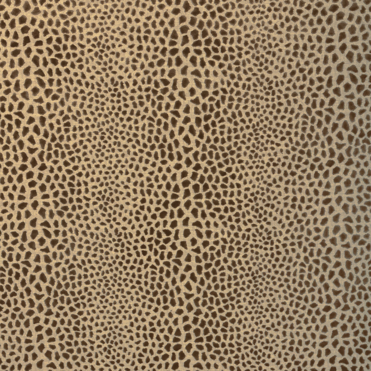 Cheetah Velvet - Umber