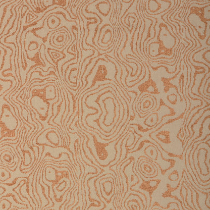 Atlas - Ginger