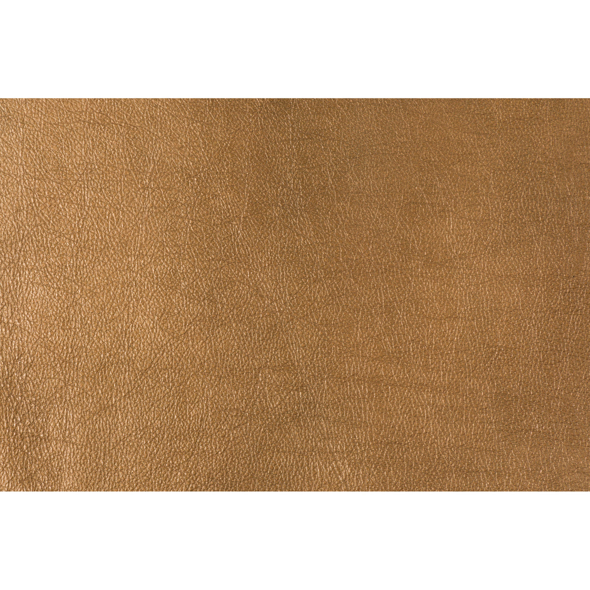 Trophy - Copper