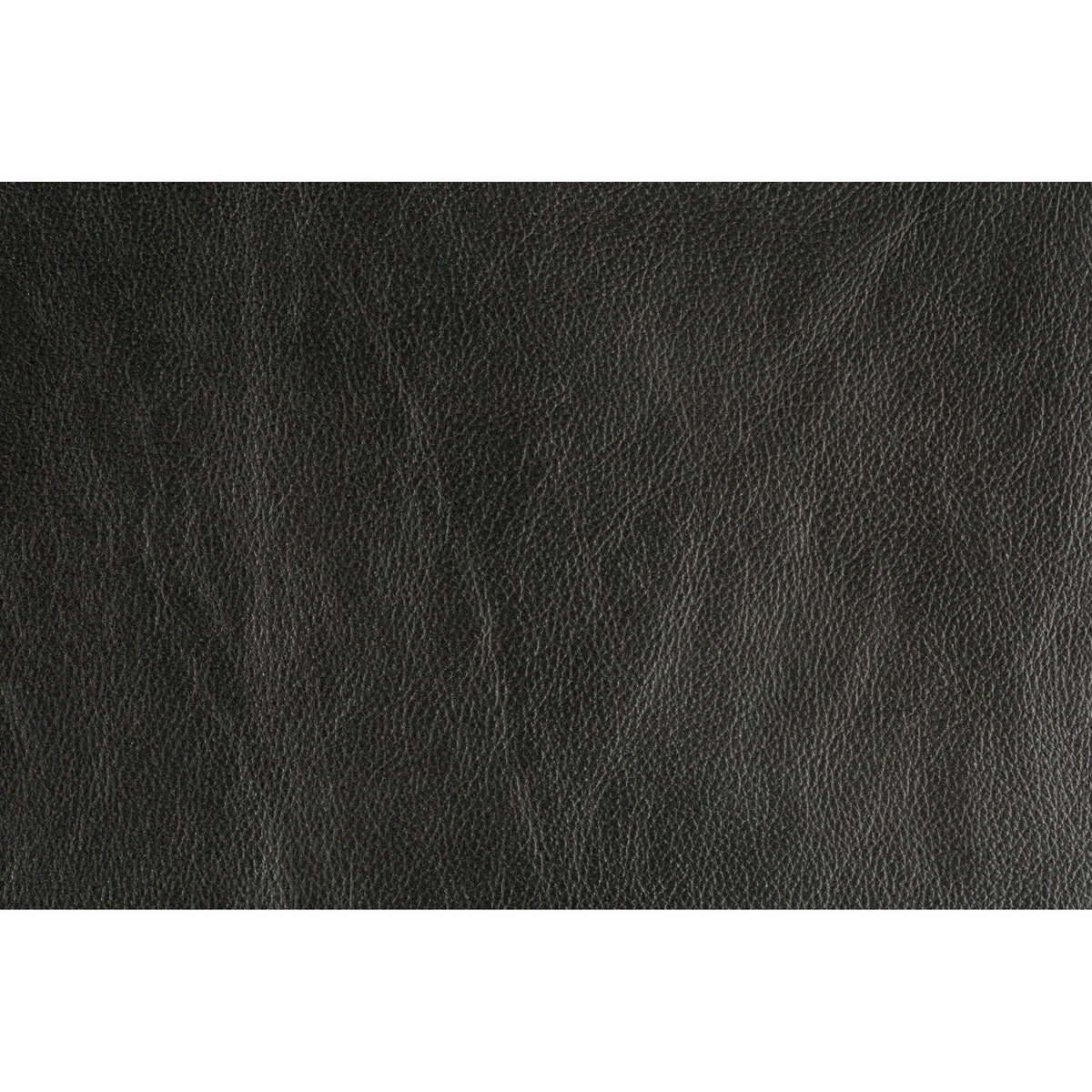 Trophy - Graphite