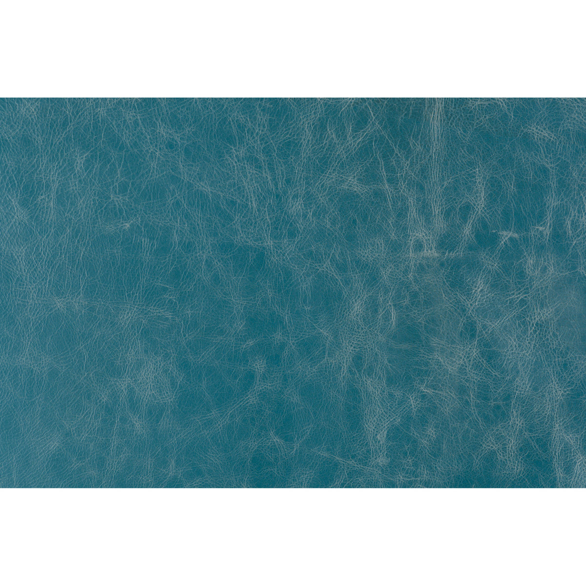 Notorious - Teal