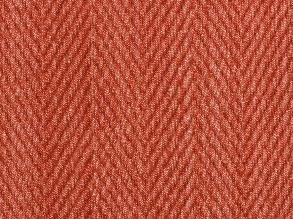 Hilsa Coral
