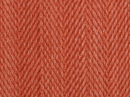 Hilsa Coral