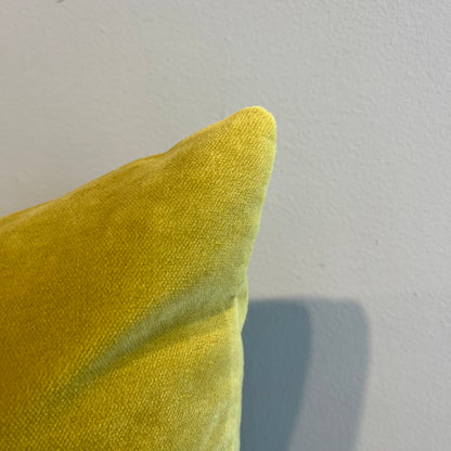 Wasabi Velvet Throw Pillow