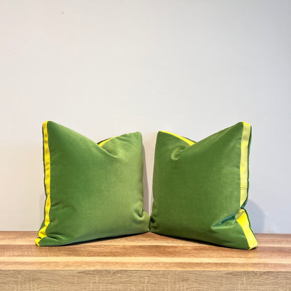 Grasshopper Velvet Throw Pillow
