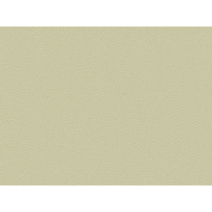 Jour Fabric by Brunschwig & Fils in Pewter