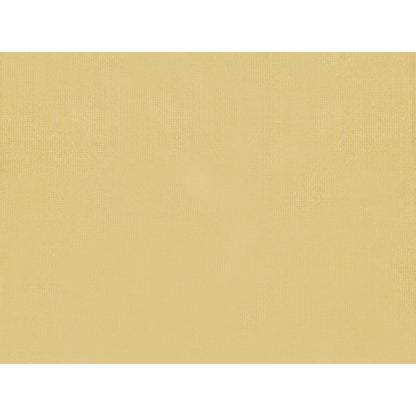 Jour Fabric by Brunschwig & Fils in Butterscotch
