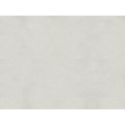 Sukhothai Fabric by Brunschwig & Fils in Pewter