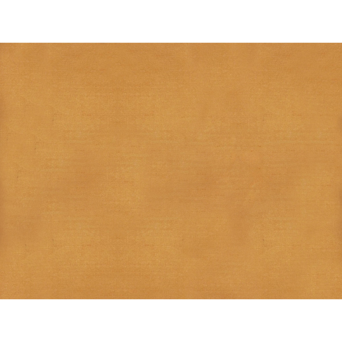 Sukhothai Fabric by Brunschwig & Fils in Apricot