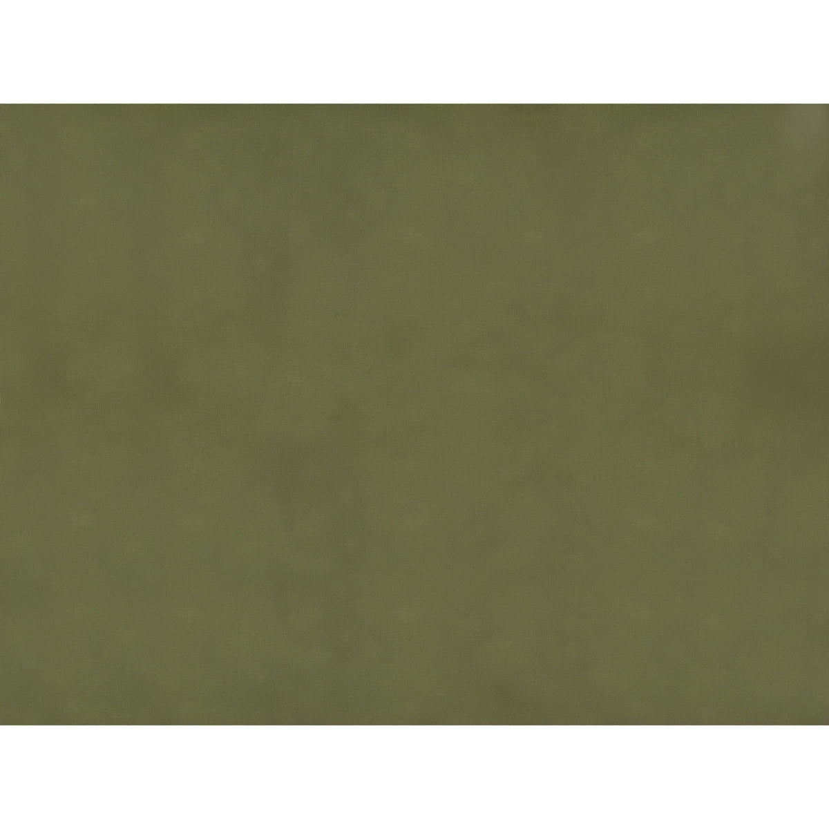 Sukhothai Fabric by Brunschwig & Fils in Olive