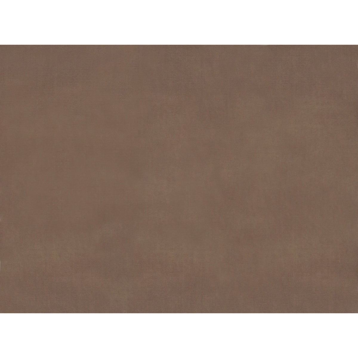 Sukhothai Fabric by Brunschwig & Fils in Sandstone