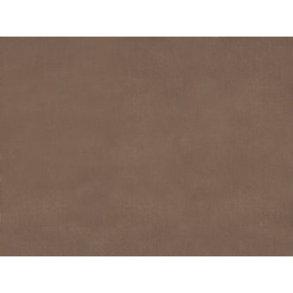 Sukhothai Fabric by Brunschwig & Fils in Sandstone