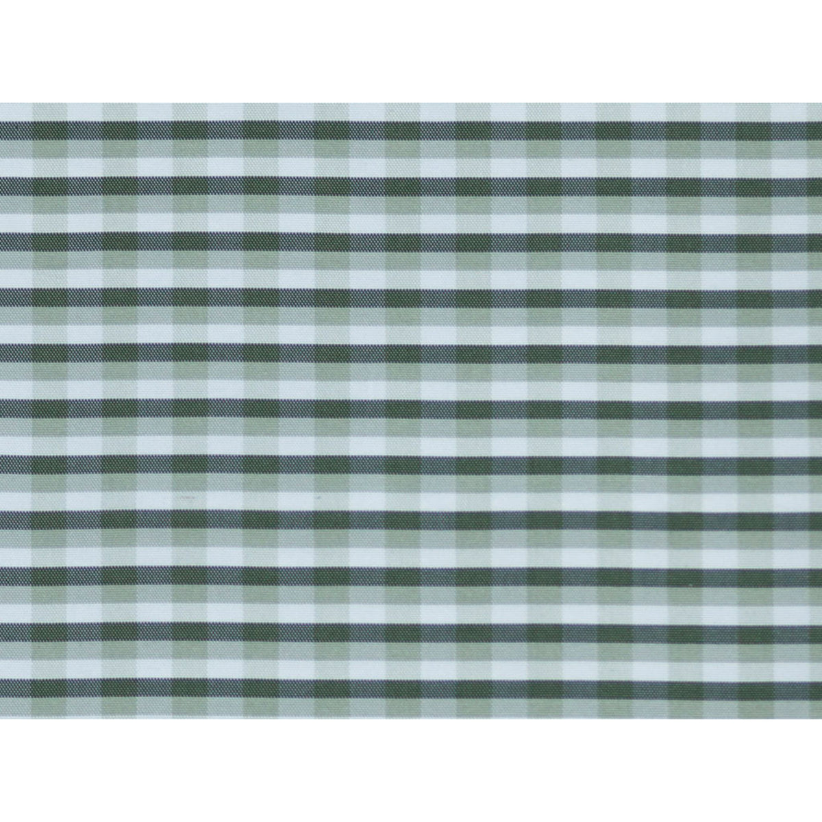 La Strada Check Fabric by Brunschwig & Fils in Olive