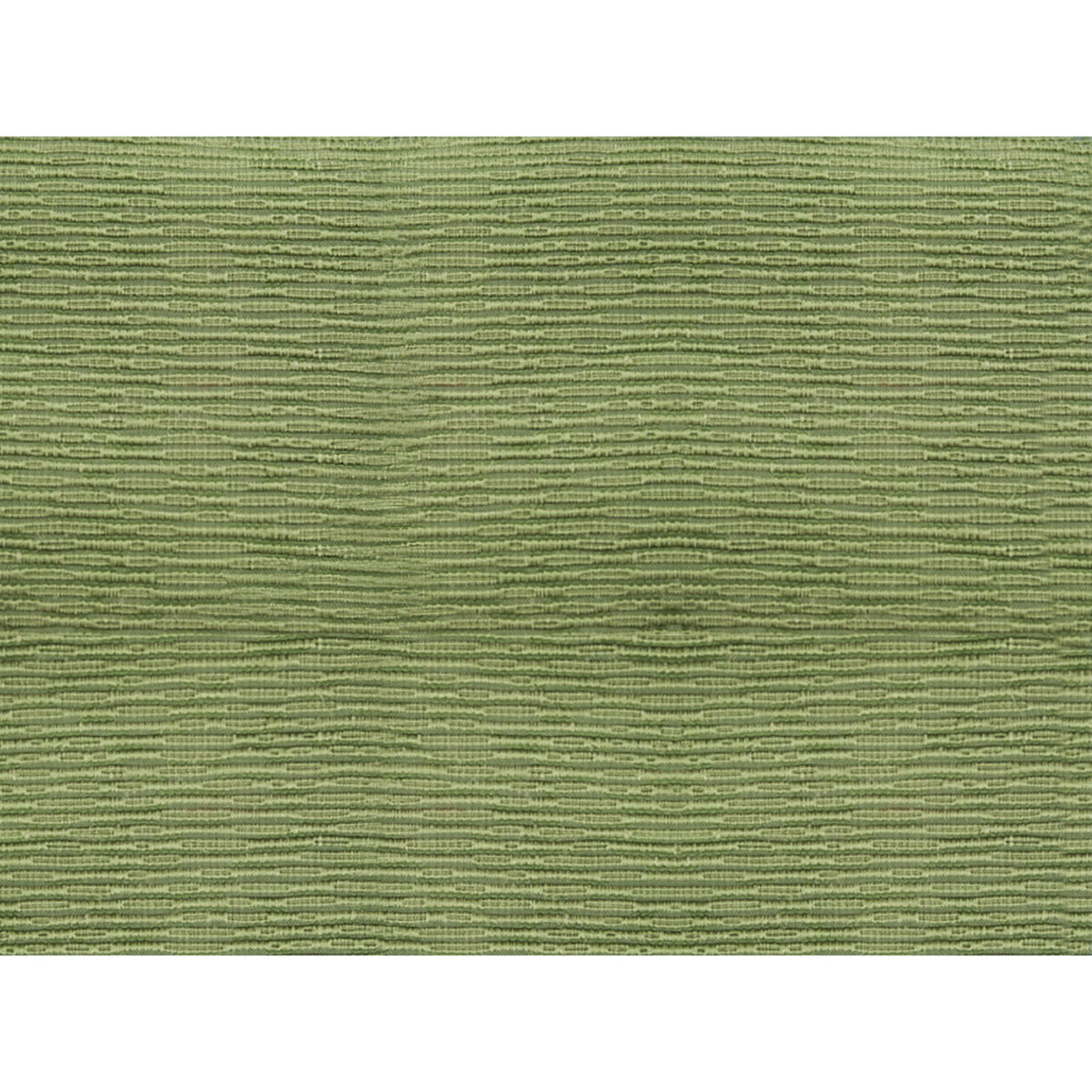 Roma Fabric by Brunschwig & Fils in Pino