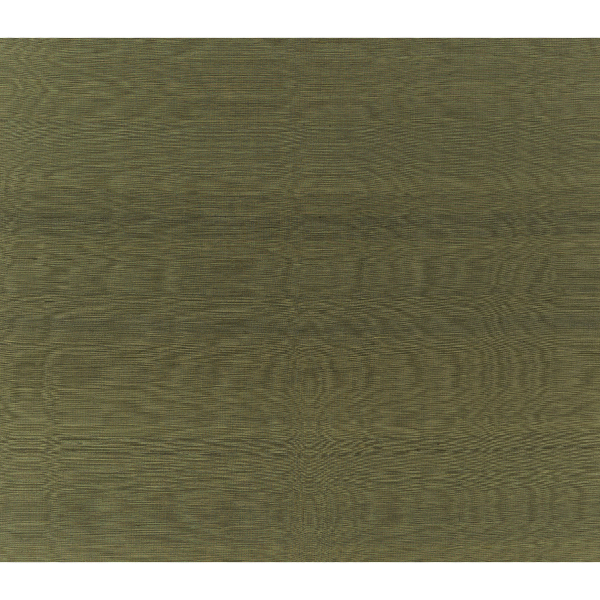 Silk Twist Fabric by Brunschwig & Fils in Moss