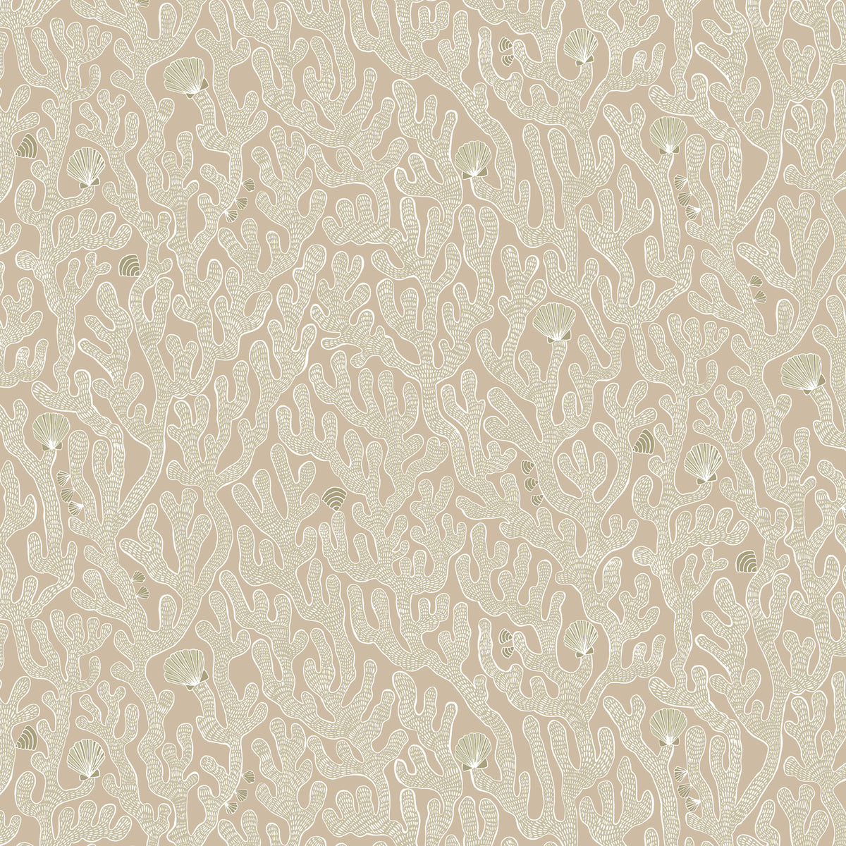 Coral Wallpaper by Josephine Munsey in 11