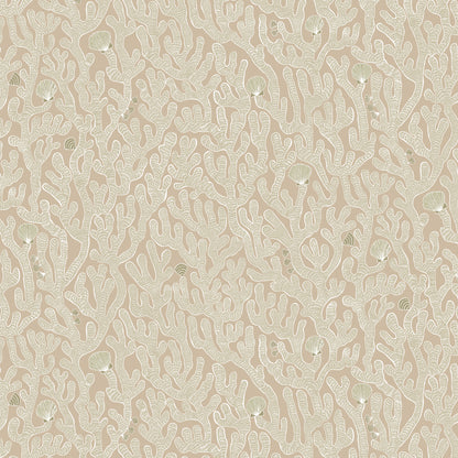 Coral Wallpaper by Josephine Munsey in 11
