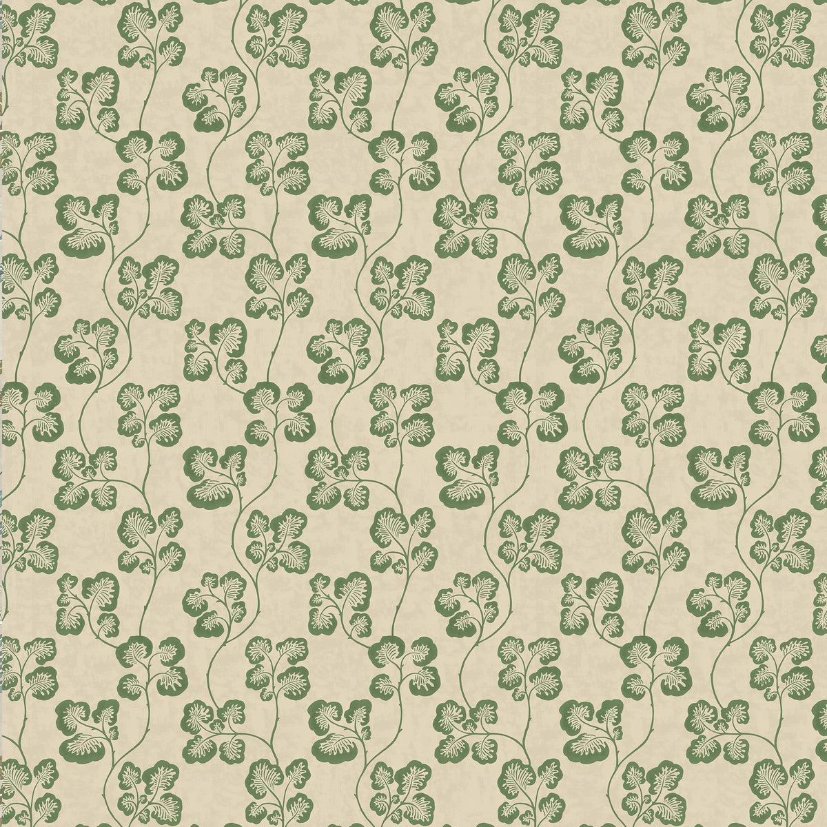 Cabbage Check Wp - 01