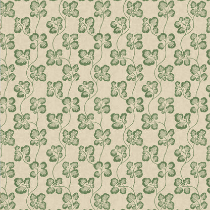 Cabbage Check Wp - 01