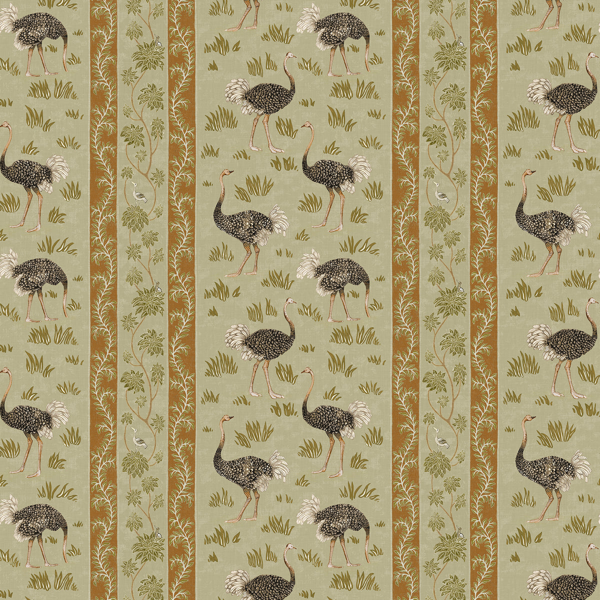 Ostrich Stripe Wallpaper by Josephine Munsey in 31
