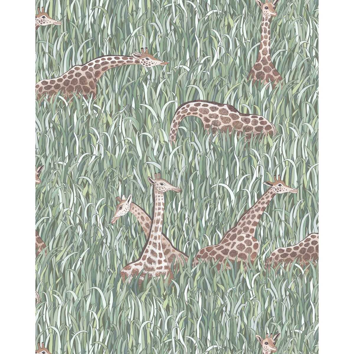 Giraffes Wallpaper by Josephine Munsey in 11