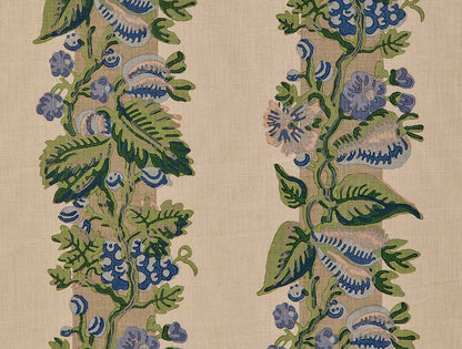 Jongli Cornflower
