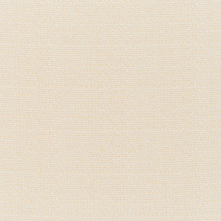 Indian Garden Plain Fabric by Jasper in Cream