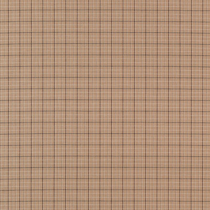 Market Check Fabric by Jasper in Brown