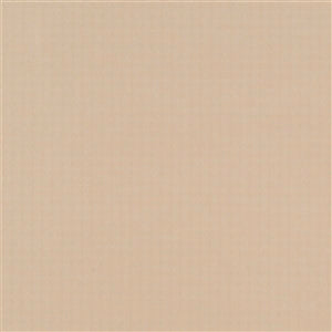 Crescent Silk Fabric by Jasper in Pale Mushroom