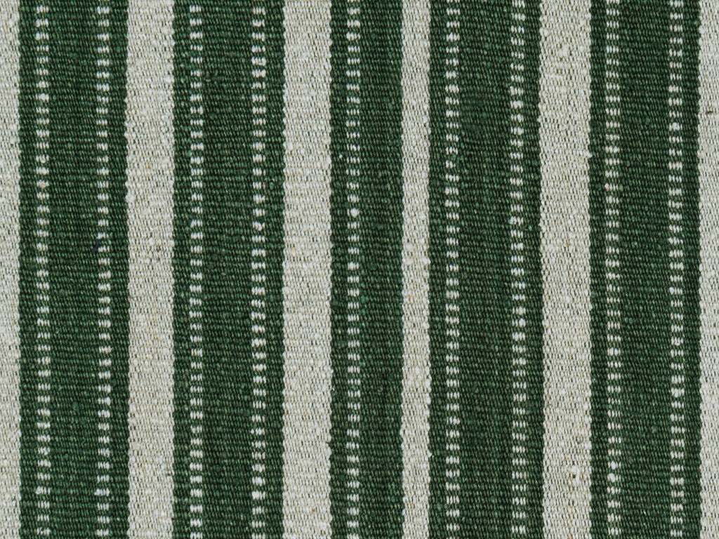 Kiba Conifer