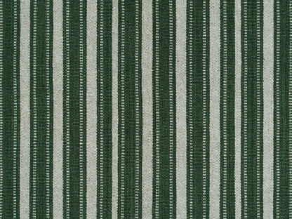 Kiba Conifer